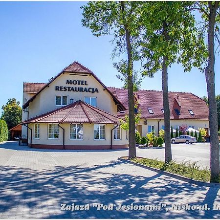Zajazd Pod Jesionami Nisko Kültér fotó