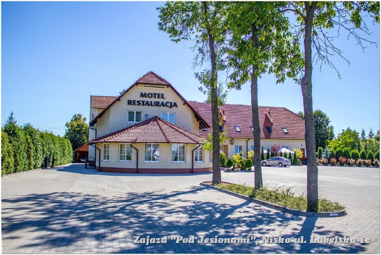 Zajazd Pod Jesionami Nisko Kültér fotó